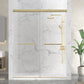 60 x 76 Frameless Shower Door, Ward Sliding Tempered Clear 10mm Glass