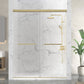 48 x 76 Frameless Shower Door, Ward Sliding Tempered Clear 10mm Glass