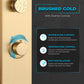 Cici Series 39 in. 2-Jetted Shower Tower with Heavy Rain Shower and Body Jets and Spray Wand