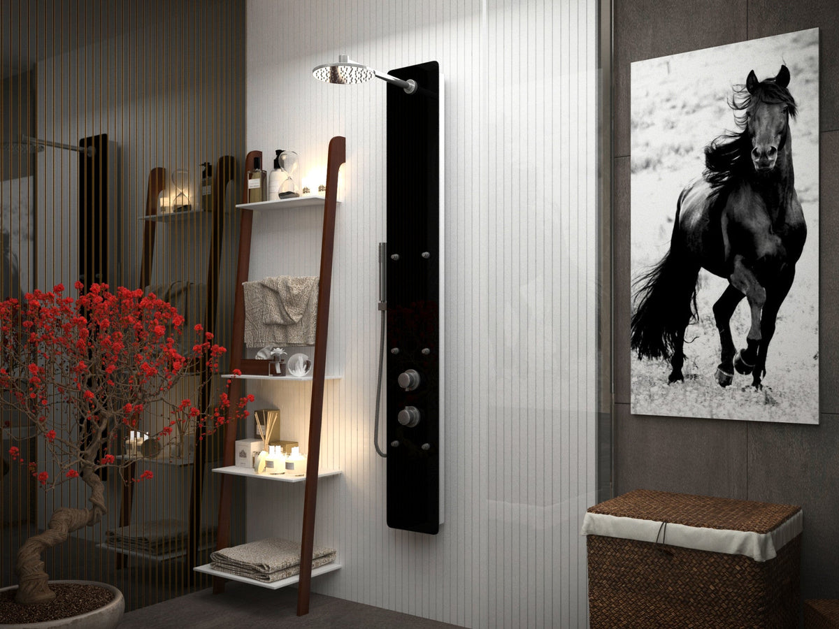 Melody 59 in. 6-Jetted Full Body Shower Panel System with Heavy Rain Shower and Spray Wand in Black Deco-Glass