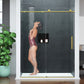 Mountain 60 in x 76 in. Reversible Frameless Sliding Deco-Glass Shower Door with Soft-Close System - Multiple Finishes