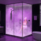 Steam Shower Generator, Full Package, Black